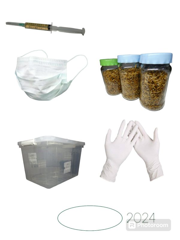 WhatsApp Image 2024-09-23 at 17.35.01